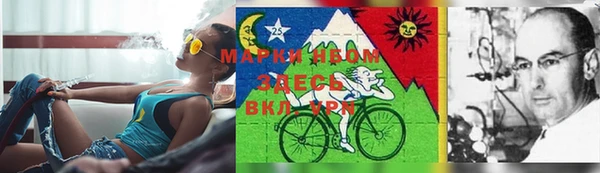 тгк Кукмор