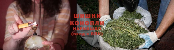 ПСИЛОЦИБИНОВЫЕ ГРИБЫ Бугульма