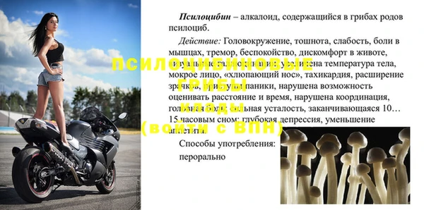 тгк Кукмор