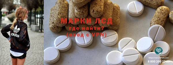 ПСИЛОЦИБИНОВЫЕ ГРИБЫ Краснослободск