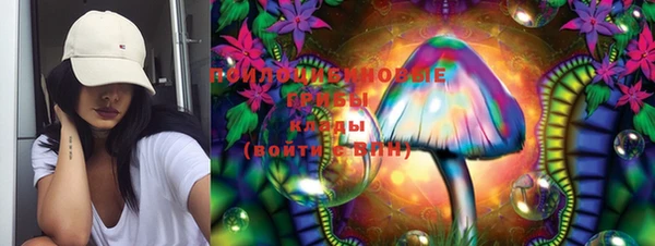 тгк Кукмор